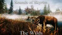 скачать Звуки Скайрима - Открытый мир v1.13+ | Sounds of Skyrim - The Wilds бесплатно