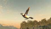скачать Летающие птицы v0.931- SkyBirds - Airborne Perching Birds бесплатно