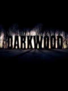 скачать игру Darkwood (PC/ENG/2014) торрент бесплатно