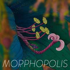 скачать игру Morphopolis (2014/PC/Eng) торрент бесплатно