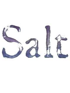 скачать игру Salt (PC/ENG/2014) торрент бесплатно