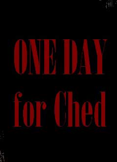 скачать игру ONE DAY for Ched (PC/RUS/2014) торрент бесплатно
